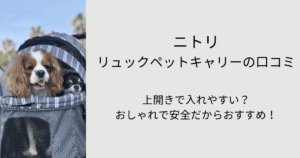 ニトリ リュックペットキャリーの口コミ！上開きで入れやすい？おしゃれで安全だからおすすめ！のタイトル画像